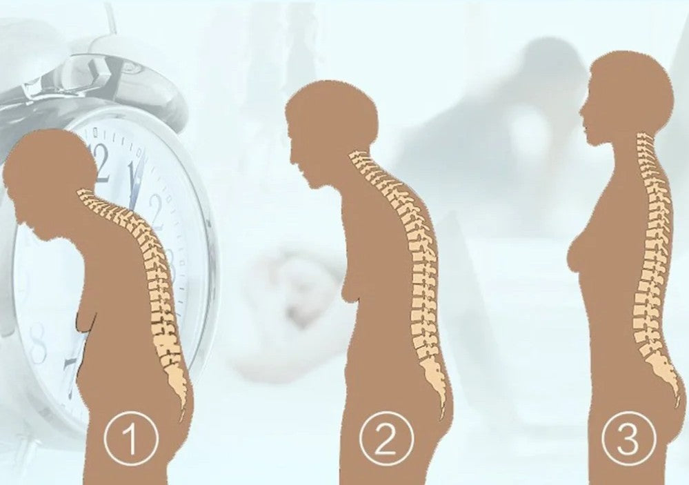 AlignDos™ – Correcteur de posture